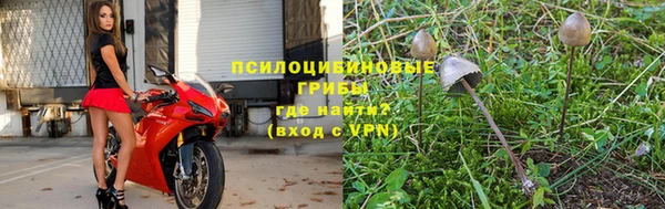 дурь Волоколамск